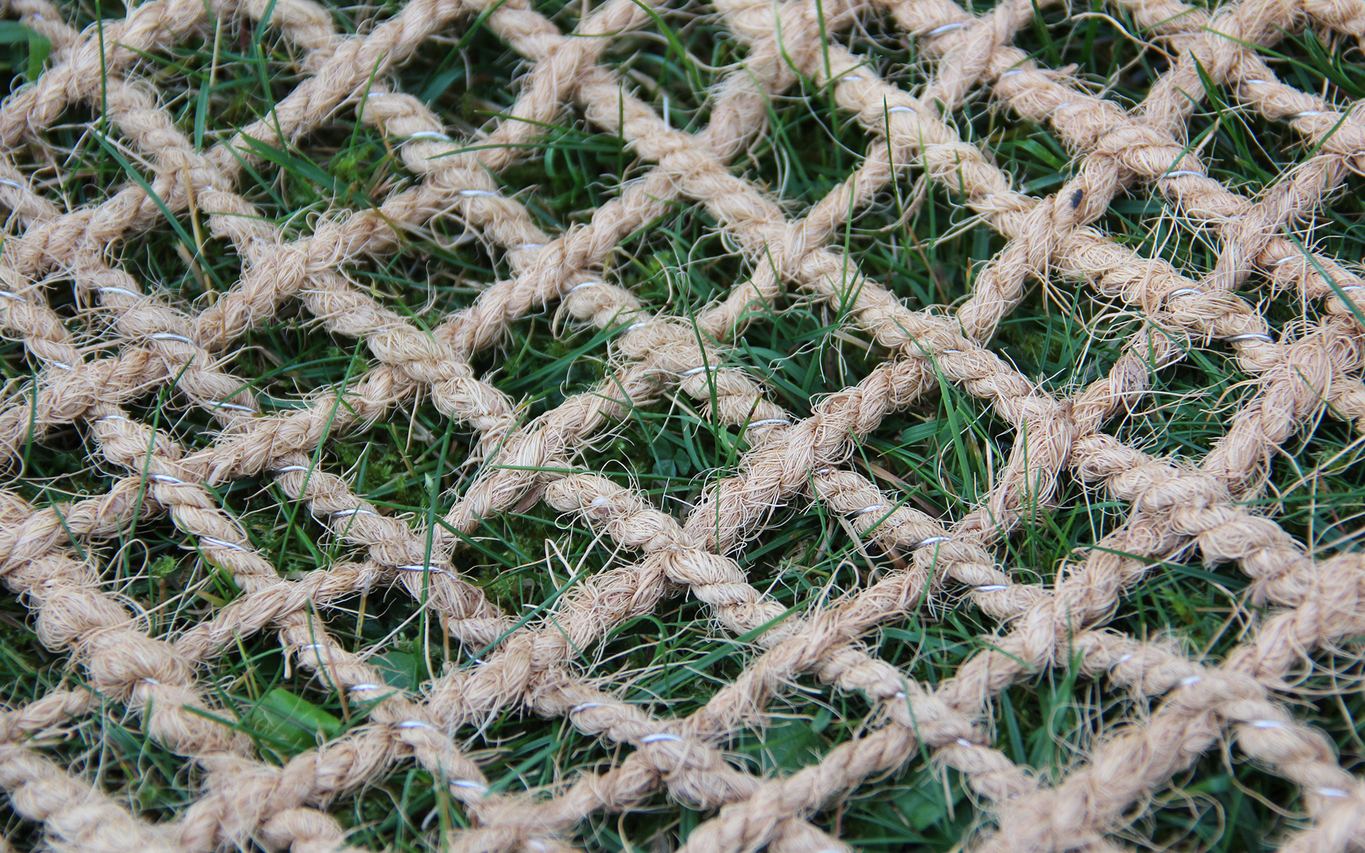 Eine Nahaufnahme des NeiG Tekks7 mit eingeflochtenem auf einer Wiese Edelstahldraht