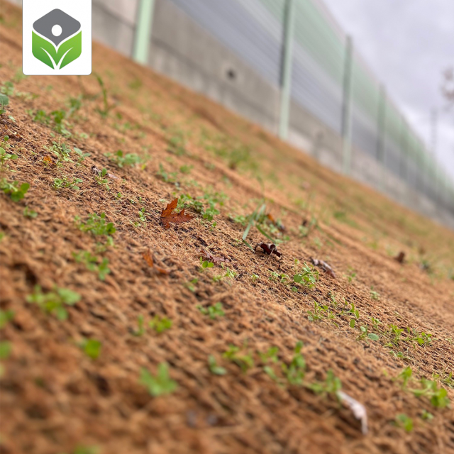 Nassansaat auf Erosionsschutzgewebe an der Riedbahn Nassansaat auf Erosionsschutzgewebe an der Riedbahn