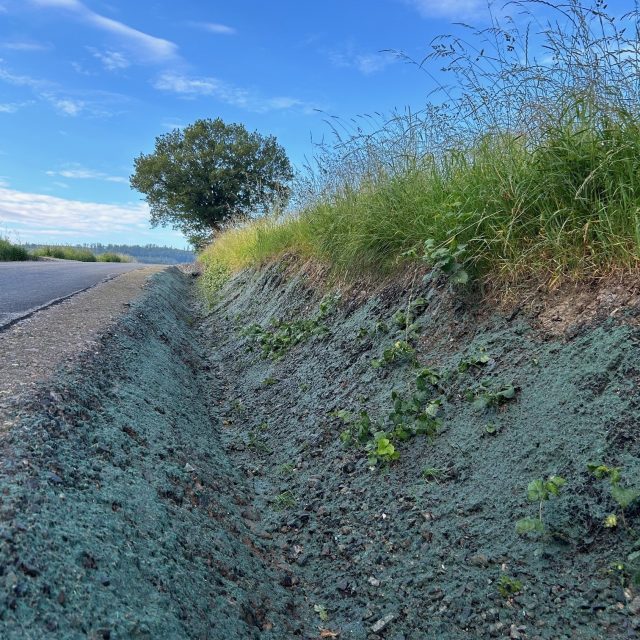 Nassansaat Neisser Balve Nassansaat Neisser Balve