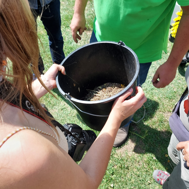 Regio-Saatgut schützt heimische Arten