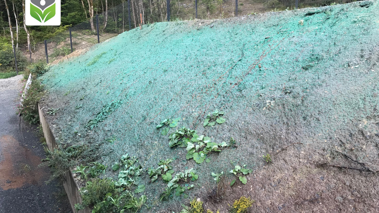 Neisser Geo Projektdoku Hallenberg Neisser Geo Projektdoku Hallenberg
