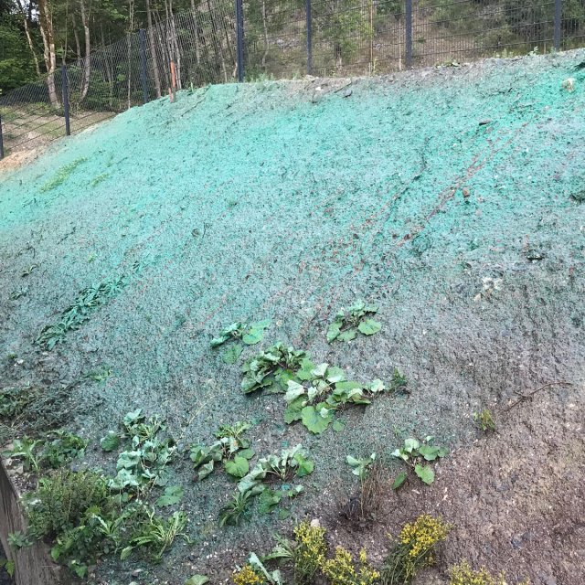 Neisser Geo Projektdoku Hallenberg