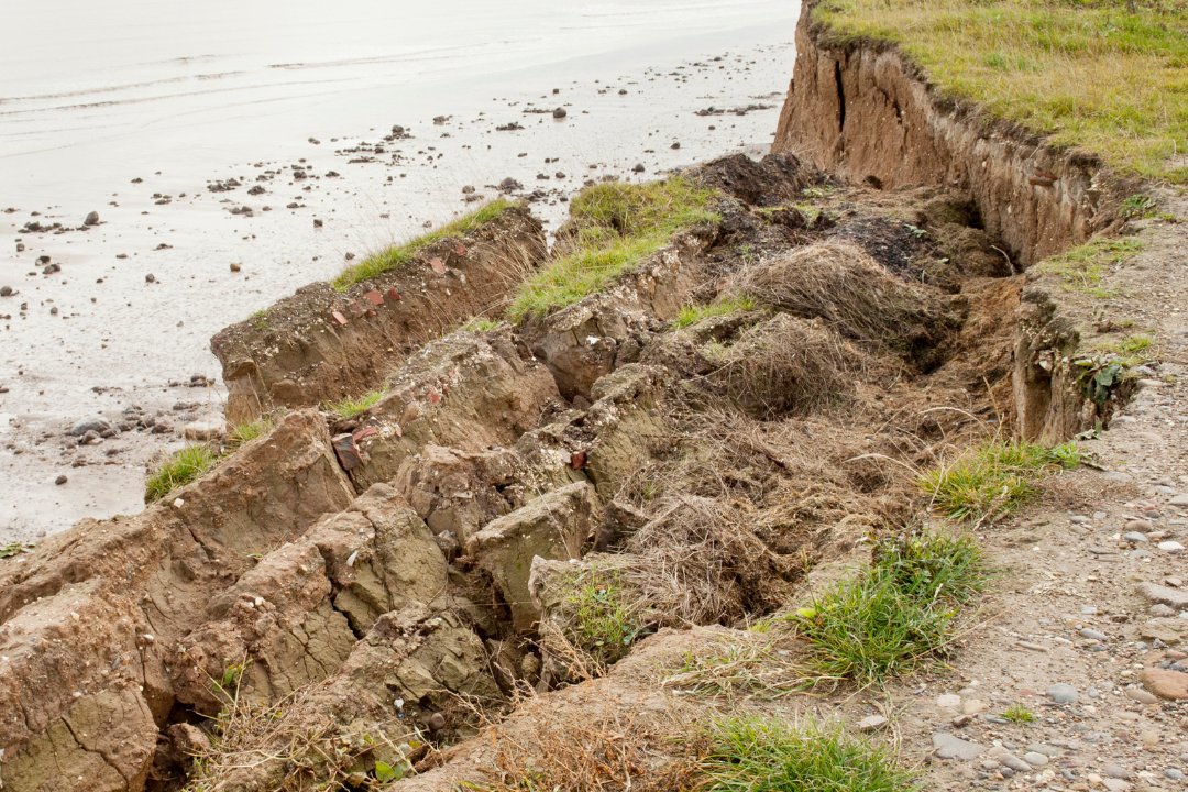 Neisser Leistungen 1 Neisser Leistungen 1
