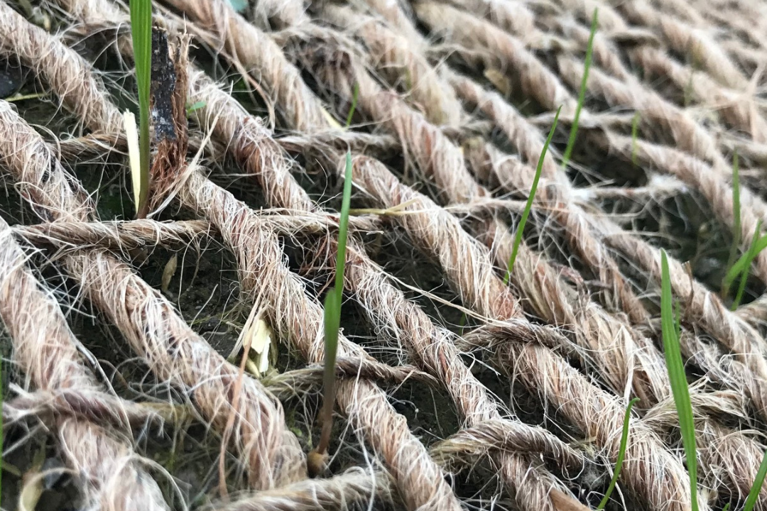 Neisser Leistungen 2 Neisser Leistungen 2