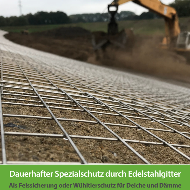 Neisser Leistungen 4 Neisser Leistungen 4