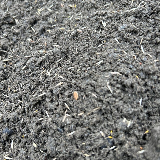 Neisser Geoprodukte Lünen IGA 1e